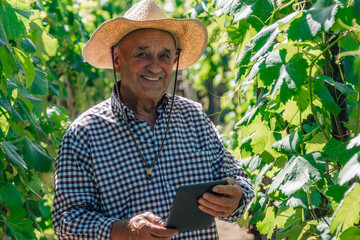 farmer with tablet controlling the crop