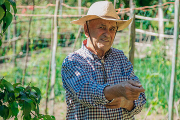 portrait of senior farmer in field or orchard