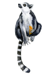 Lemur white background, watercolor illustration, cute animals