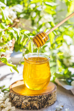 Sweet honey jar surrounded spring acacia blossoms. Honey flows from a spoon in a jar