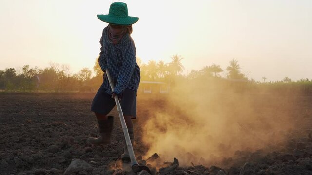 silhouette of a farmer wearing a hat and boots is digging through the hoe to prepare the field against the sunset.