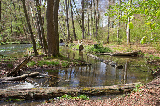 Frühling Im Idyllischen Würmtal Zwischen Gauting Und Starnberg