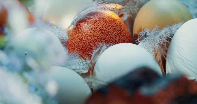 Several chicken eggs of a beautiful color. Bright sunny mood, the sun's rays are falling. Easter picture, beautiful colors. Holy holiday.