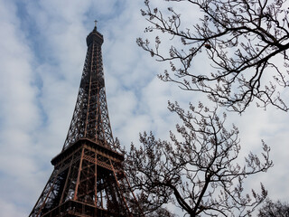 Eiffel tower and nature
