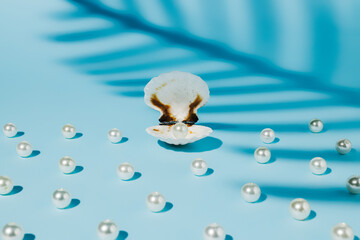Sea shell under the shadow of a tropical palm leaf with white pearls on a blue background. Summer creative concept. Tropical ocean vacation.
