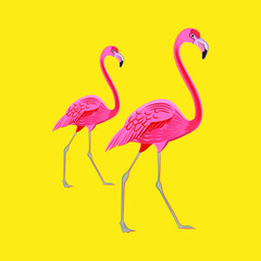 Two pink flamingos on a yellow background, vector illustration