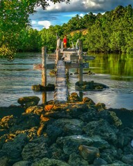 Fototapeta premium tropical garden