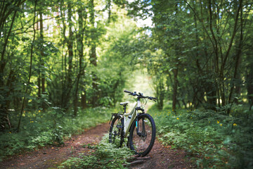 Mountain bicycle standing on a forest trail. Countryside cycling