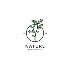 Nature growth growing green plant herbal logo with line style icon