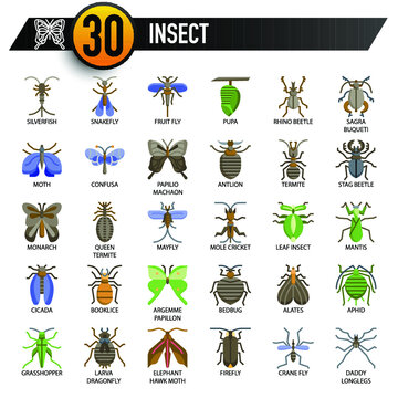 insect, Thin Line, and Pixel Perfect Icons