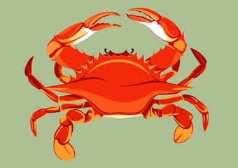 crab full body illustration