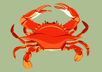 crab full body illustration