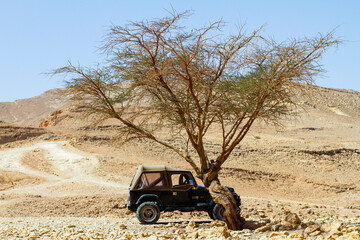 Off-road vehicle under a tree in the desert.