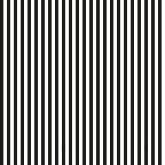 Seamless pattern with stripes. Abstract geometric wallpaper of the surface. Background for design in a vertical strip. Print for polygraphy, t-shirts and textiles. Black and white colors