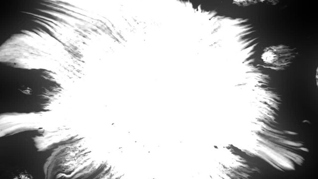 Beautiful pure white watercolor ink drops transition on black background, paint bleed, circle organic flow expanding, splatter spreading. Perfect for motion graphics, digital composition