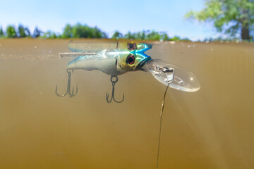 a blue wobbler floats on the surface of muddy water