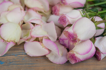 Pink roses on wood background. Mothers day roses, Bouquet of pink roses, Floral background image with copy space for text