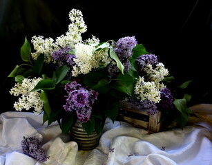 Still life with branches of a colorful lilac tree in a clay vase. syringa still life