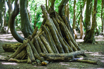 Stick dens and forts in the woods built by children to play in outside