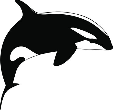 Black and white image of a jumping orka vector illustration
