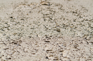 Dry ground texture. Cracked ground surface. Grunge background.
