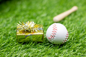 Baseball with Happy Birthday sign are on green grass