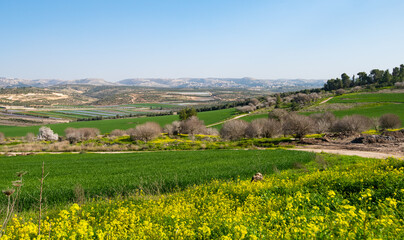 The Valley of Elah in with the Judean mountains in Israel. - obrazy, fototapety, plakaty