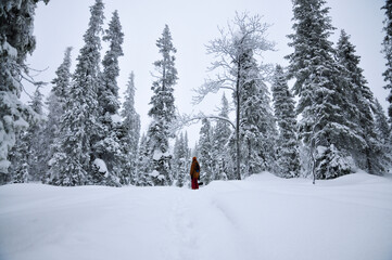 hiker in a snowy forest in the mountains