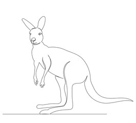 kangaroo drawing one continuous line isolated