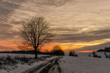 Beautiful rural winter landscape at orange sunset with country road and lonely tree