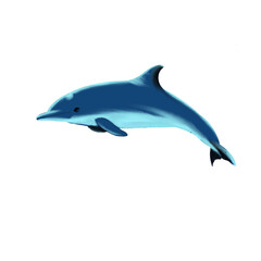 Obraz premium digital drawing of a sea animal - jumping dolphin