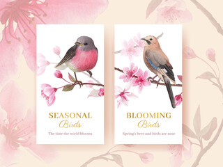Instagram template with blossom bird concept design watercolor illustration