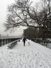Walking a dog in the snow on the Brooklyn Promenade
