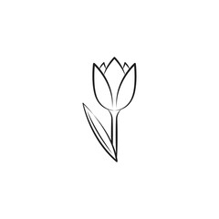Tulip flower icon vector illustration