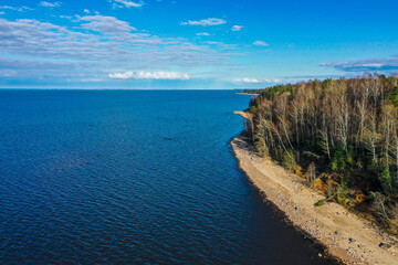 Obraz premium Aerial view of the coastline of the Gulf of Finland. Sandy coast and forest belt. Treetops, blue sky.