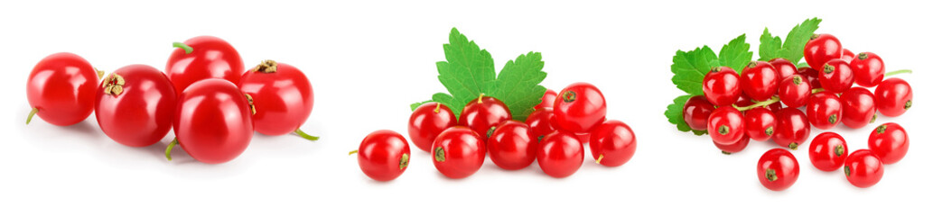 Red currant berries with leaf isolated on white background. Set or collection