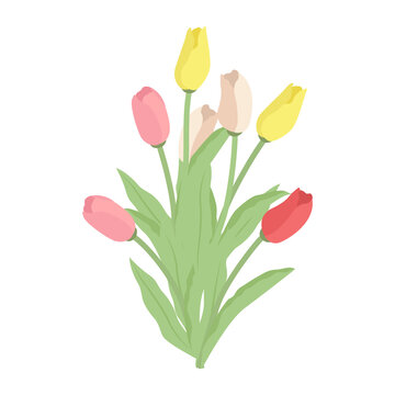 Bouquet of Colorful Tulips  isolated on white background. Decorative floral design elements. Floral and Interior design concept. Trendy Vector Illustration.