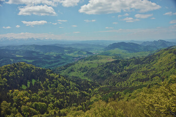 Fototapeta premium Pieniny 