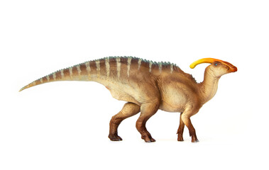 Naklejka premium Parasaurolophus Living dinosaur In Late Cretaceous. Dinosaur herbivores have crest on their heads. isolated on white background.