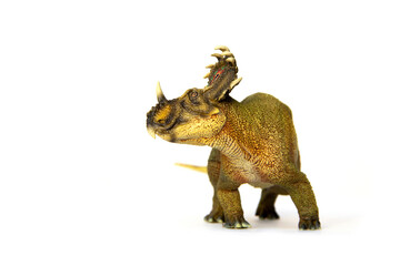 Sinoceratops herbivores dinosaur living in Late Cretaceous. isolated on white background.