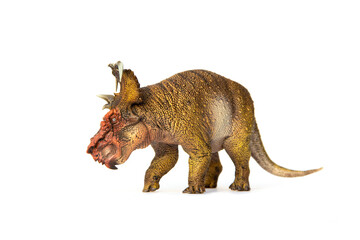 Pachyrhinosaurus herbivores dinosaur living in Late Cretaceous. isolated on white background.