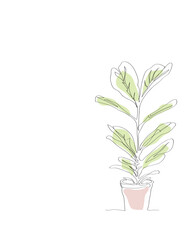 Fiddle Leaf Fig or Ficus Lyrata. Hand draw line art isolated on white background with copy space