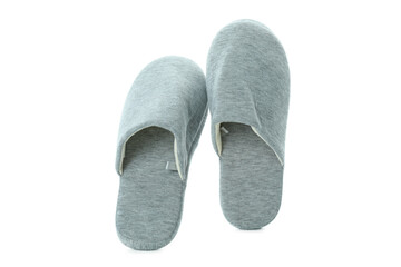 Pair of house slippers isolated on white background