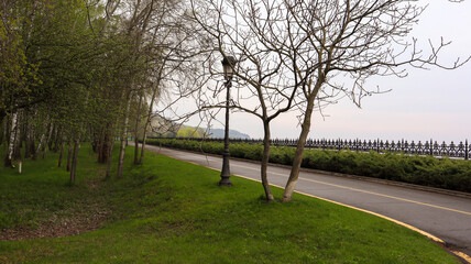 Empty asphalt road with one yellow line on the road surface for separate lanes in the summer park.