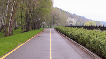 Empty asphalt road with one yellow line on the road surface for separate lanes in the summer park.