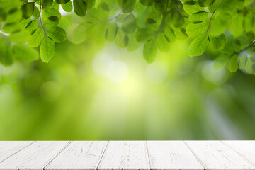 Empty white wooden table with green leaves, bokeh and sun light with copy space for text ,Template...