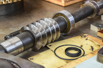 Worm shaft and worm wheel in a locksmith's workshop on the assembly of the gearbox.