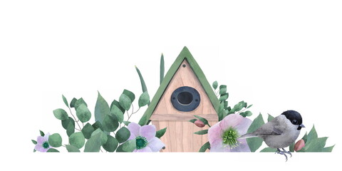 Birdhouse with flowers hellebore (winter rose, Christmas rose, lenten hellebore)  in delicate, pastel colors. Spring illustration with a flowers isolated on a white background