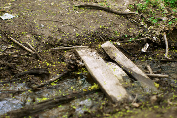 a small stream in the forest