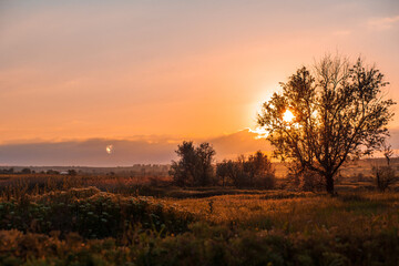 Fototapeta na wymiar Sunset in country. Rural landscapes.